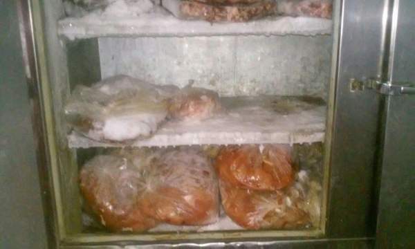 photo_2017-03-22_12-26-03