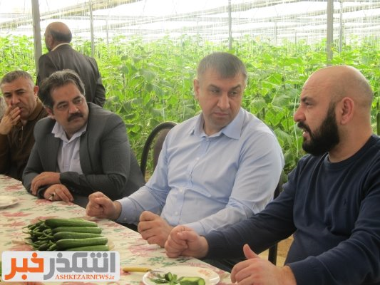 بازدید یک هیئت روسی از یک واحد گلخانه ای و صنعت بسته بندی محصولات گلخانه ای شهرستان اشکذر