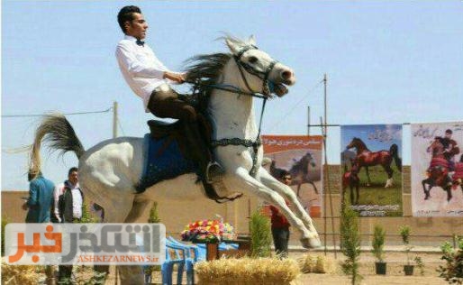 برگزاری نخستین همایش سراسر اسب‌های بومی فلات ایران در رستاق