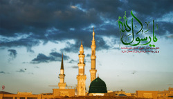 پیامبر اسلام (ص) شهید شدند یا وفات کردند؟