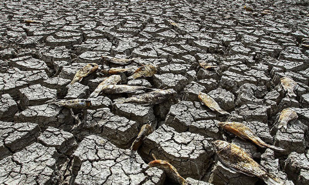 برداشت بی‌رویه آب‌های زیرزمینی، عامل مرگ تالاب‌های یزد است