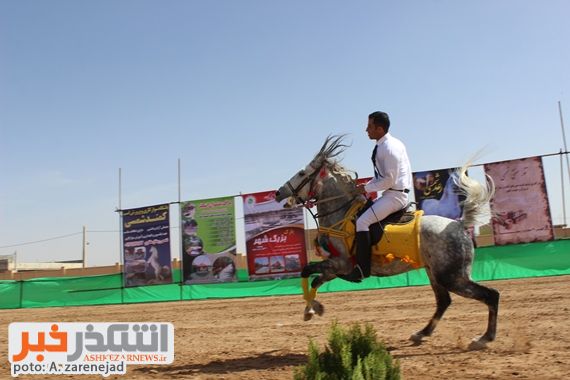 دومین همایش شو سواره اسبهای فلات ایران در روستای شمسی