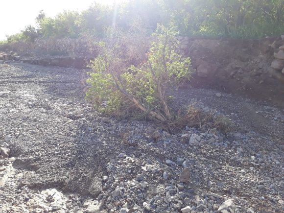 سیل روستای پناه کوه از توابع دهستان کذاب را بُرد