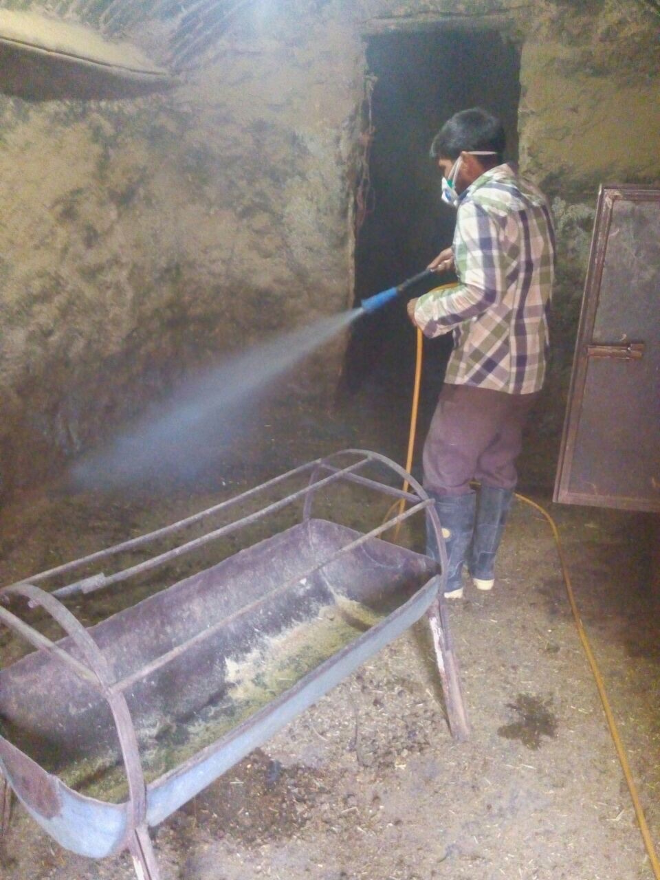 سم پاشی جایگاه های نگهداری دام در روستای زربند