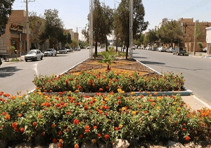 اجرای عملیات گلکاری تابستانه در فضای سبز شهر یزد