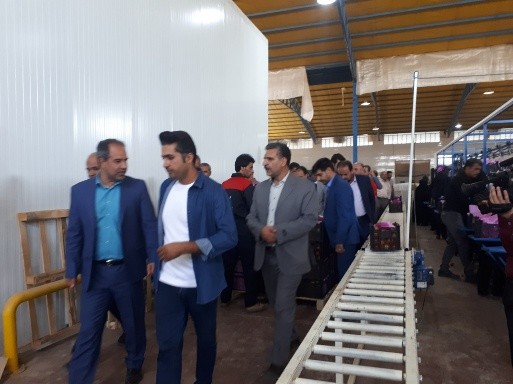 بهره‌برداری از واحد بسته بندی میوه در روستای همت‌آباد