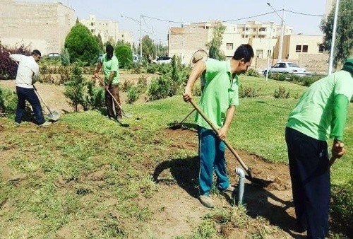 گونه‌های کم آب‌خواه جایگزین کاشت چمن در بخشی از فضای سبز میگردد
