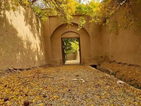 خزان در باغ جهانی پهلوان‌پور/ مناظر زیبایی که پاییز در مهریز یزد به جا گذاشت (+عکس)