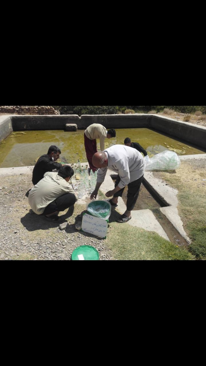 اجرای طرح کنترل مگس میوه مدیترانه در بخش خضرآباد