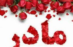 کار ارزشمند یک خانواده چرخابی برای مادرشان+فیلم کار ارزشمند یک خانواده چرخابی برای مادرشان+فیلم