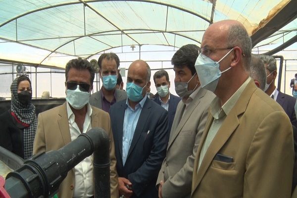 افتتاح طرح تکثیر و پرورش ماهی تیلاپیا در شهرستان اشکذر