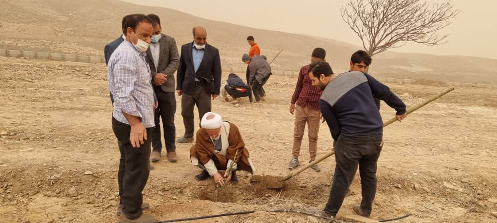 کاشت نهال زیتون به یاد شهدای گرانقدر بخش خضرآباد