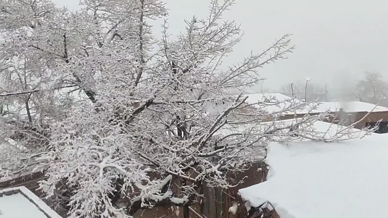 بارش برف روستاهای بخش خضرآباد را سفید پوش کرد + عکس و فیلم