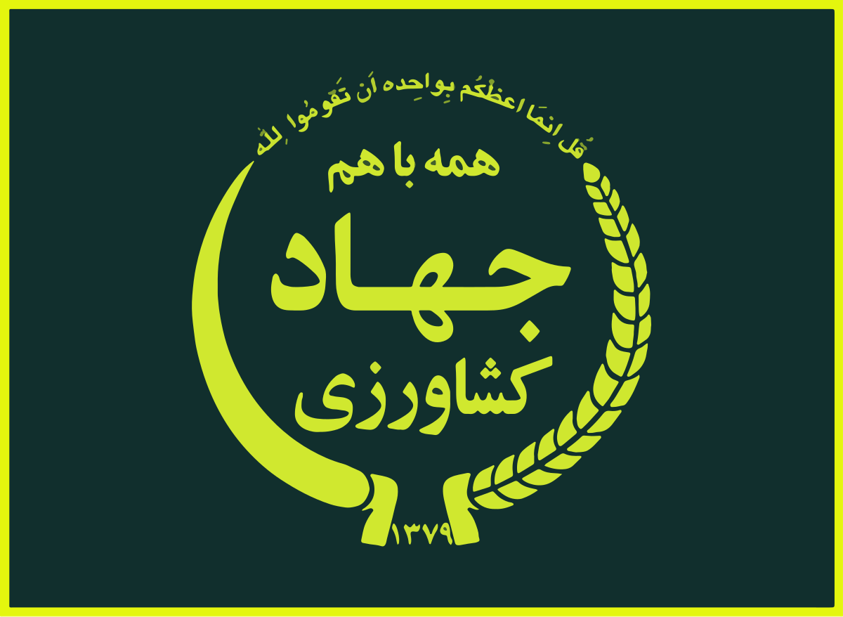 محصول با کیفیت و سود بیشتر با تولید نشاء مکانیزه