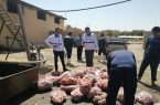 کشف و معدوم سازی بیش از یکهزار کیلوگرم گوشت مرغ غیر قابل مصرف