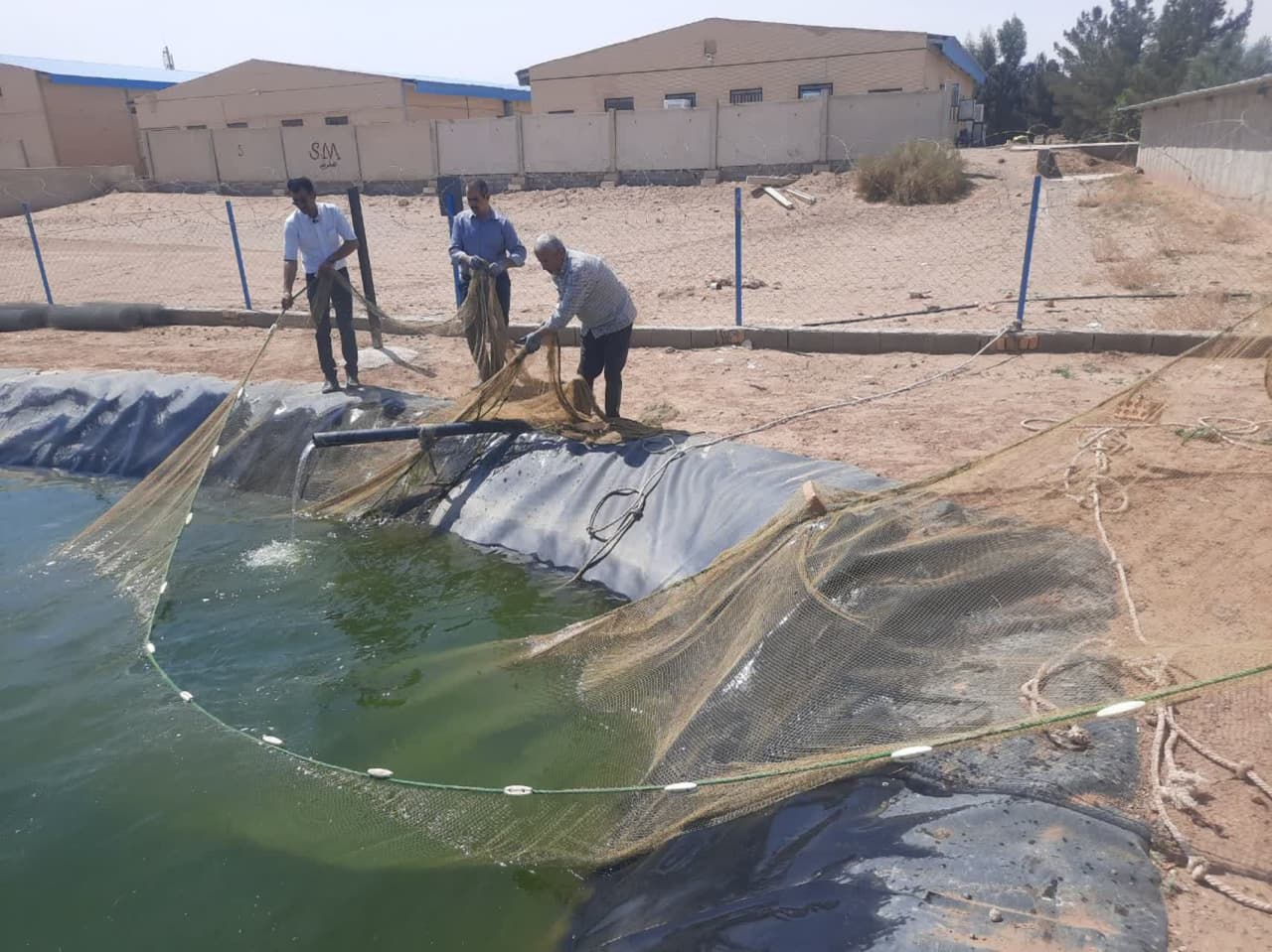 رشد ۲۰ درصدی تولید آبزیان در دانشگاه آزاد اسلامی اشکذر