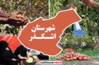 جای خالی بازارچه‌ها و جشنواره‌های محلی در اشکذر و فرصت هایی که سوختند!