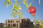 اشکذر یزد، مقصد گردشگران خوش‌سلیقه