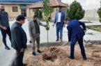 کاشت درخت به یاد دانشجوی فقید دانشگاه آزاد اسلامی اشکذر