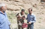 جامانده در تله غیر انسانی شکارچیان غیر مجاز در شهرستان اشکذر