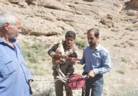 جامانده در تله غیر انسانی شکارچیان غیر مجاز در شهرستان اشکذر