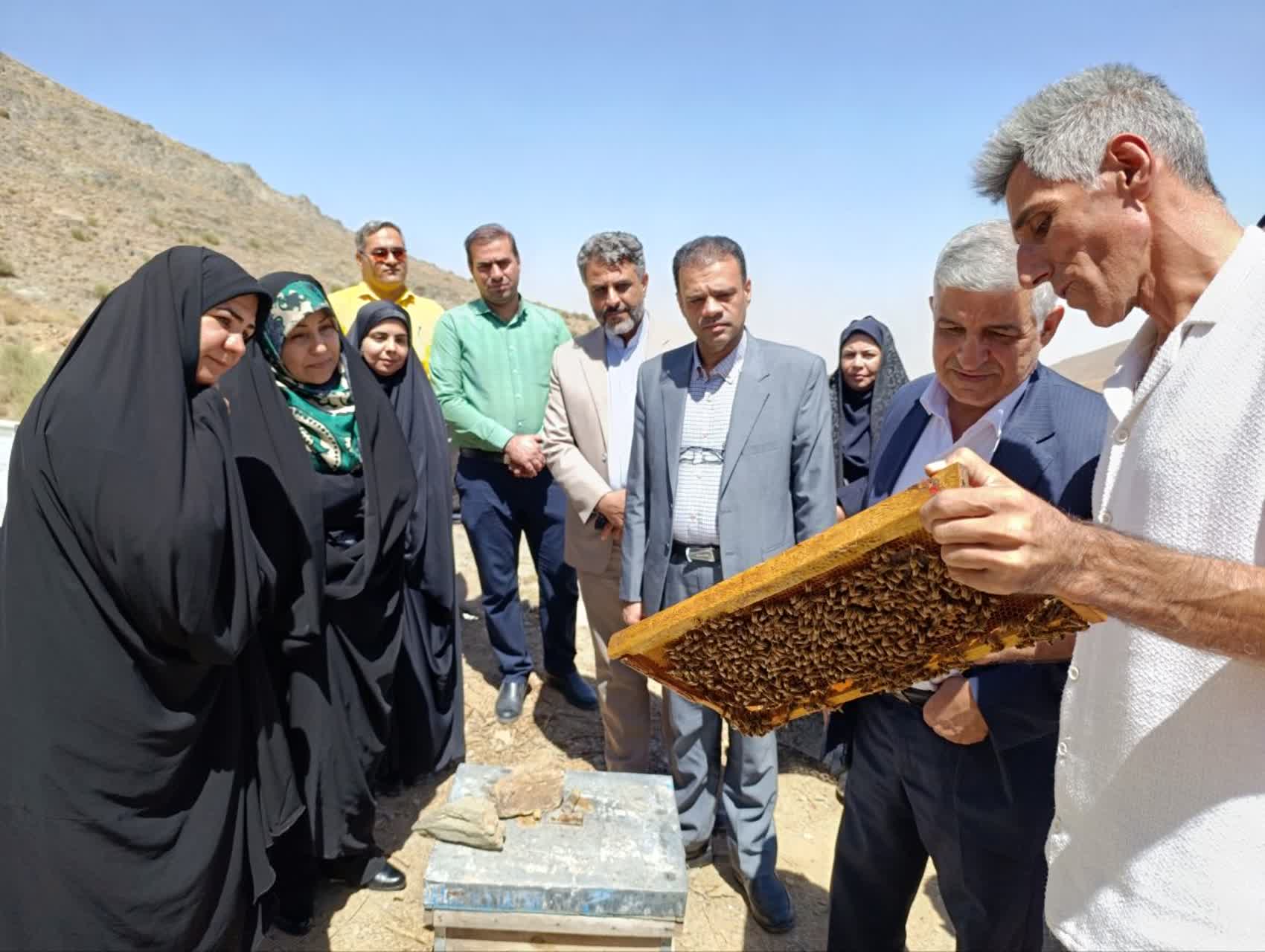 بازدید مشاور وزیر جهادکشاورزی از واحد زنبورداری بانوی کارآفرین در شهرستان اشکذر