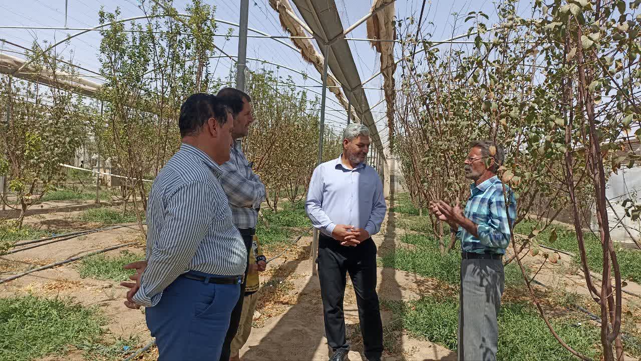 بازدیدی به رنگ سبز، روایت یک روز علمی در چرخاب اشکذر