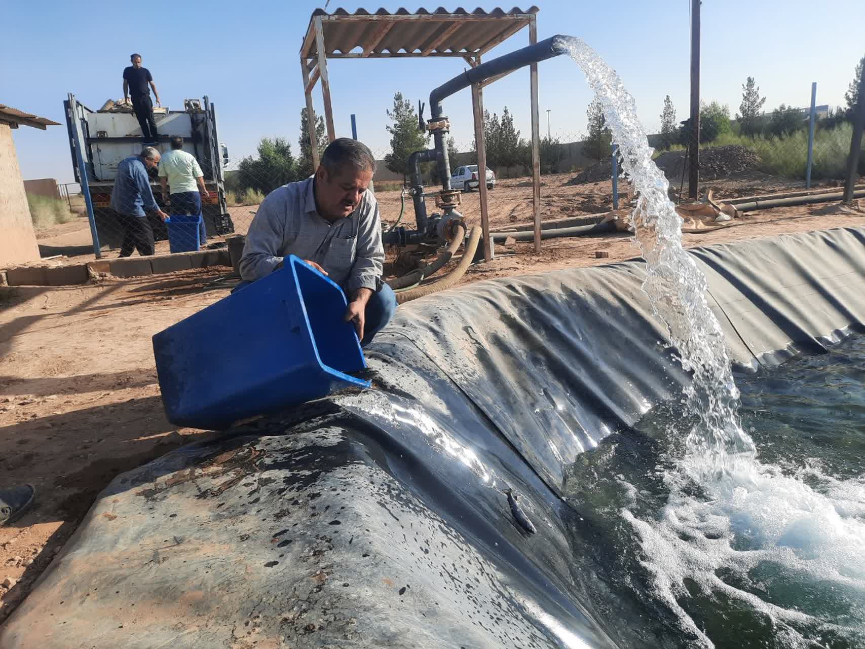 رهاسازی دو هزار قطعه بچه ماهی قزلآلا در استخر پرورشی دانشگاه آزاد اسلامی اشکذر