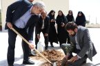 کاشت نهال امید در دبستان پروین اعتصامی ابراهیم آباد رستاق