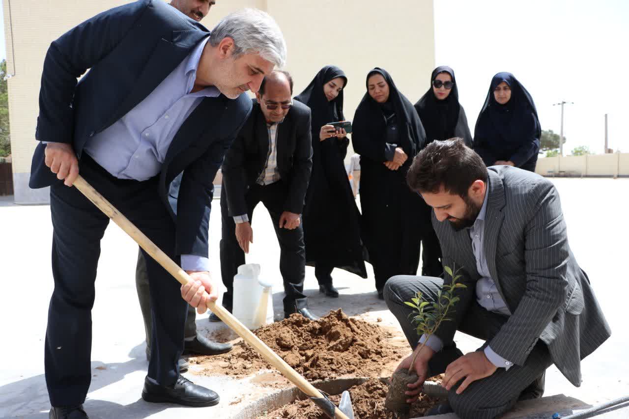 کاشت نهال امید در دبستان پروین اعتصامی ابراهیم آباد رستاق