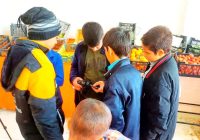 از میوه فروشی در مجومرد تا نمازخانه ای در اشکذر ؛ روایت شیرینِ یک لیموشیرین که سوم استان شد